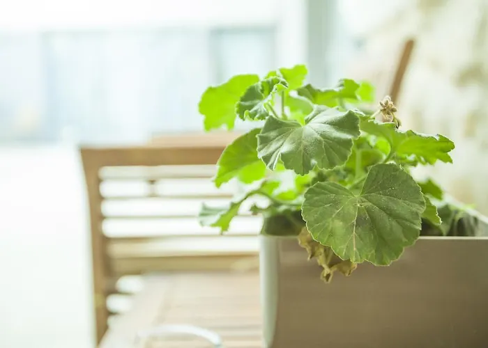 St. Lazaros ラルナカ